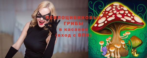 твердый Михайлов