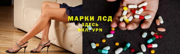 твердый Михайлов