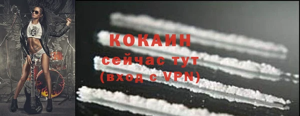 твердый Михайлов