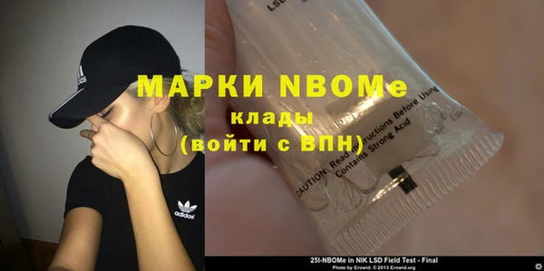 твердый Михайлов