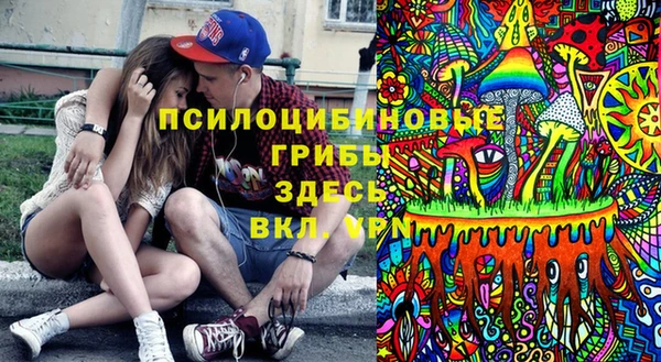 твердый Михайлов