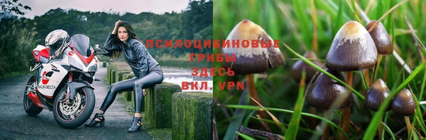 круглые Аша