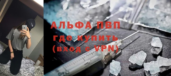 твердый Михайлов