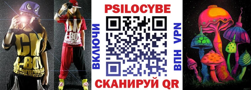 Псилоцибиновые грибы Psilocybe  Донской 